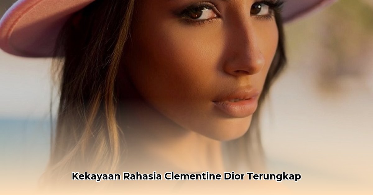 clementine dior net worth